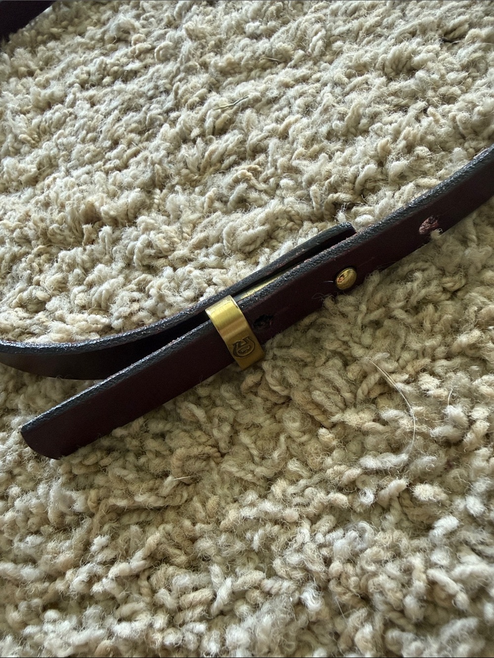 Etienne Aigner Leather Belt with Gold Accent
